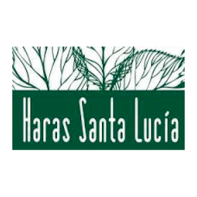 Haras Santa Lucia